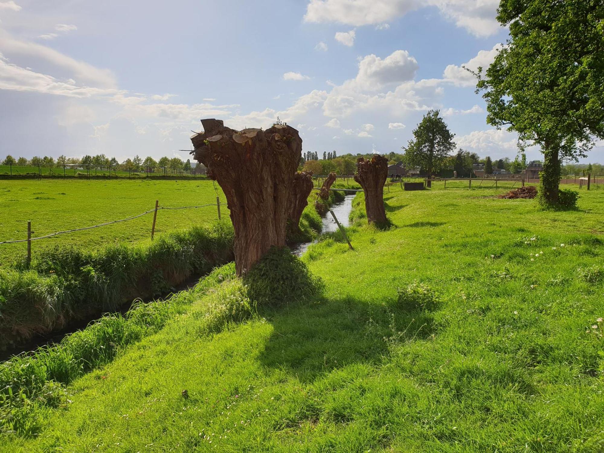 Meschermolen 13 Eijsden Zewnętrze zdjęcie